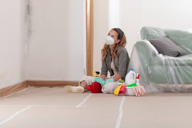 Reliable Mold Remediation contractor in Concord, MI by Cheap Mold Removal