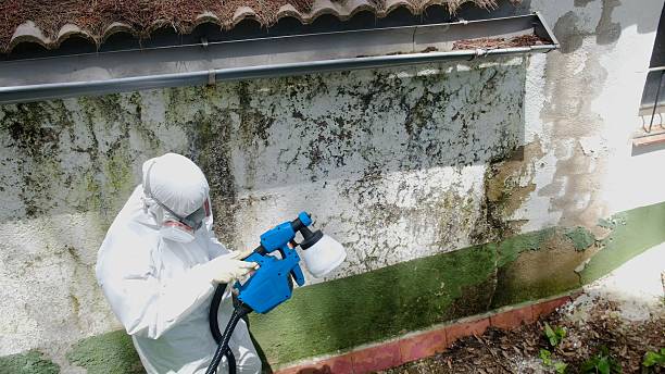 Trusted Commercial Mold Remediation service in Concord, MI - Cheap Mold Removal